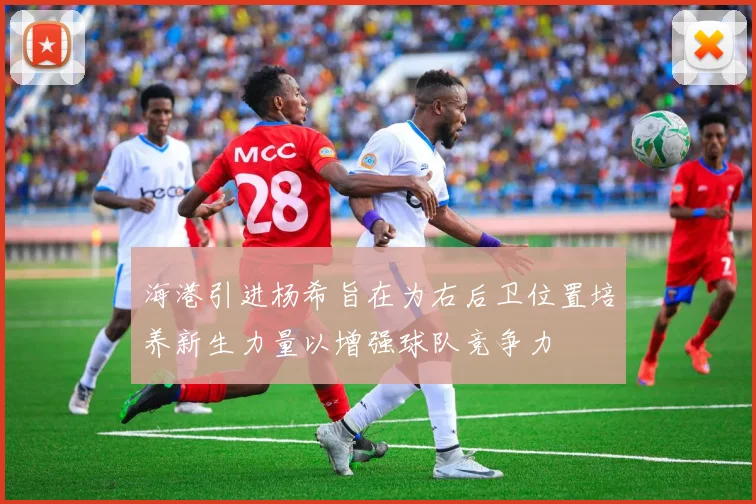海港引进杨希旨在为右后卫位置培养新生力量以增强球队竞争力