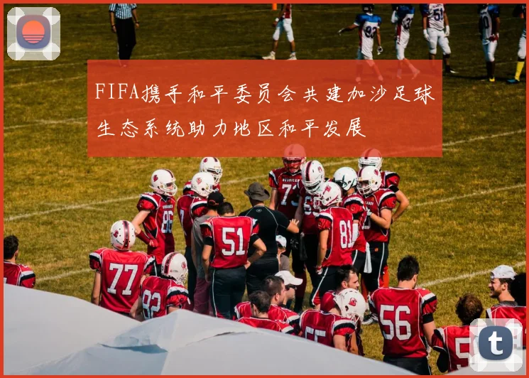 FIFA携手和平委员会共建加沙足球生态系统助力地区和平发展
