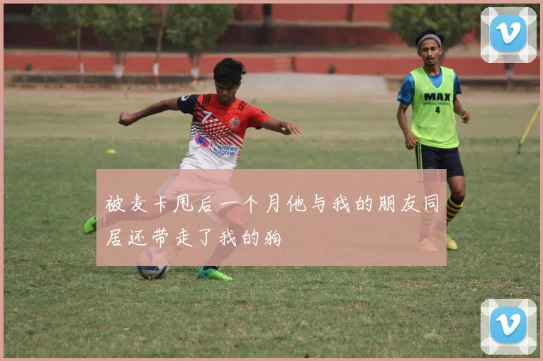 被麦卡甩后一个月他与我的朋友同居还带走了我的狗