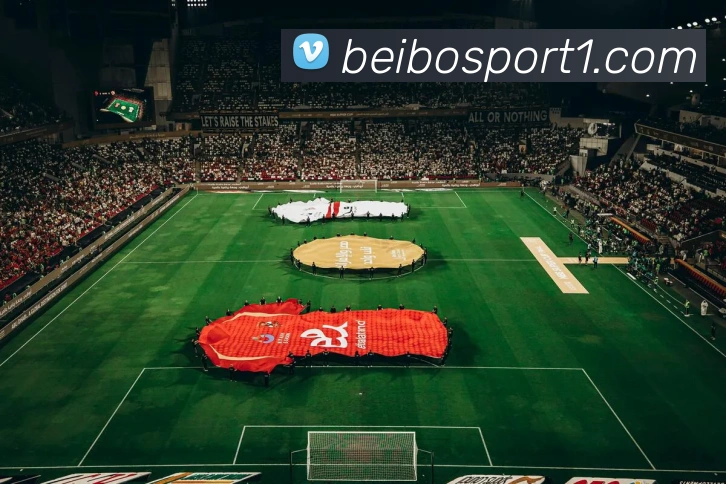 贝博足球平台生态图